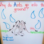 “Letter B is for Bears” Week is Next!