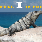 “Letter I is for Iguana Week” is next!