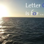 “Letter O is for Ocean Week” is next!
