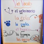 “Letter V is for Veterinarian Week” Blog Recap!