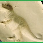 “Letter T is for T-Rex Week” Blog Recap!