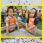 “Letter J is for Jellyfish Week” Blog Recap!